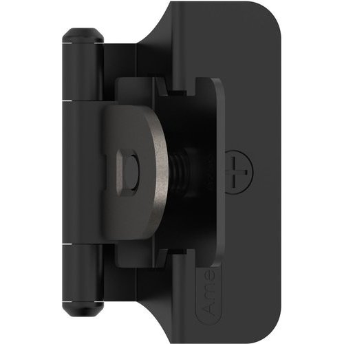 Amerock BPR8701FB, 1/4 Inch Overlay Self Closing Double Demountable